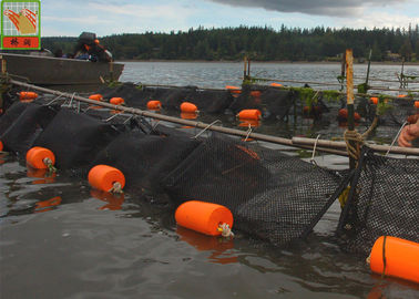 Verdrängte schwarze Farbe quadratische der Aquakultur-Filetarbeits-Plastikaustern-Maschen-1m weit